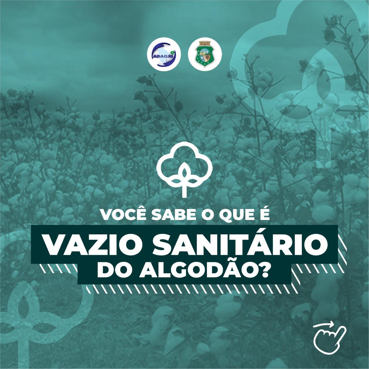 Vazio Sanitário do Algodão no Ceará se inicia no próximo dia 1º de